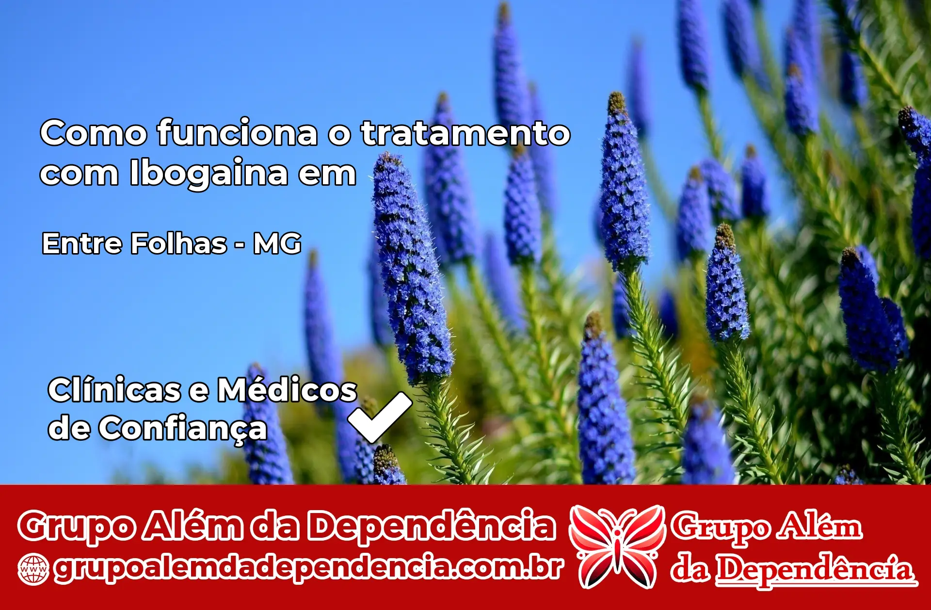 Como Funciona Ibogaína em Entre Folhas – MG