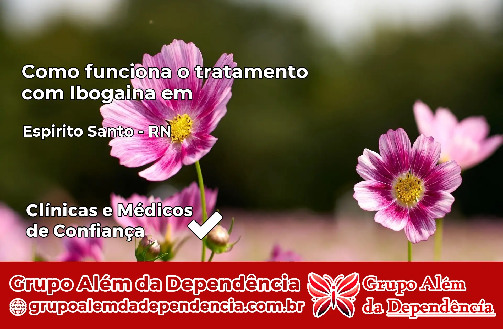 Como Funciona Ibogaína em Espírito Santo – RN