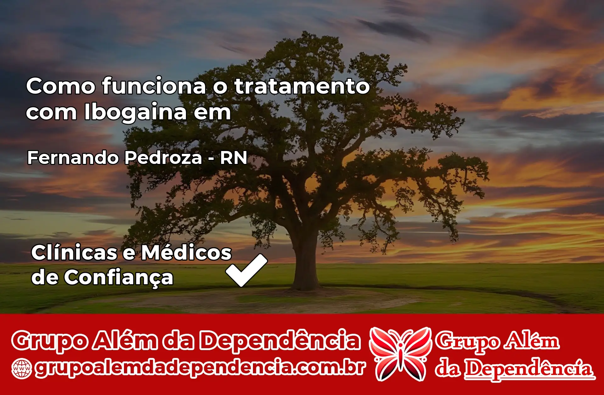 Como Funciona Ibogaína em Fernando Pedroza – RN