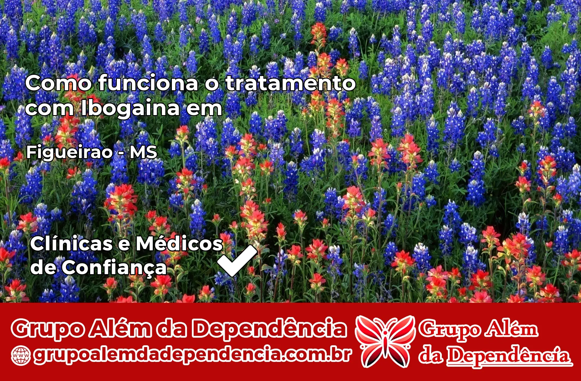 Como Funciona Ibogaína em Figueirão – MS