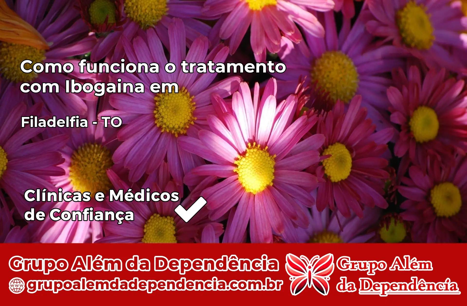 Como Funciona Ibogaína em Filadélfia – TO