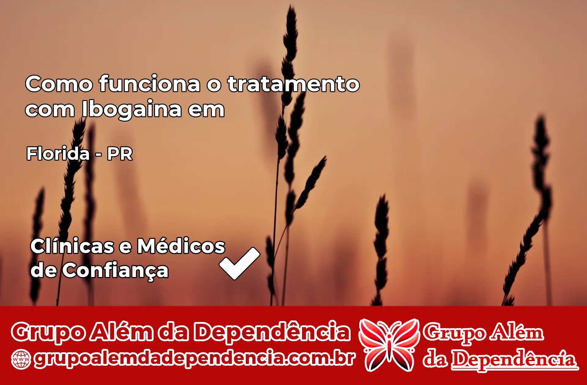 Como Funciona Ibogaína em Flórida – PR