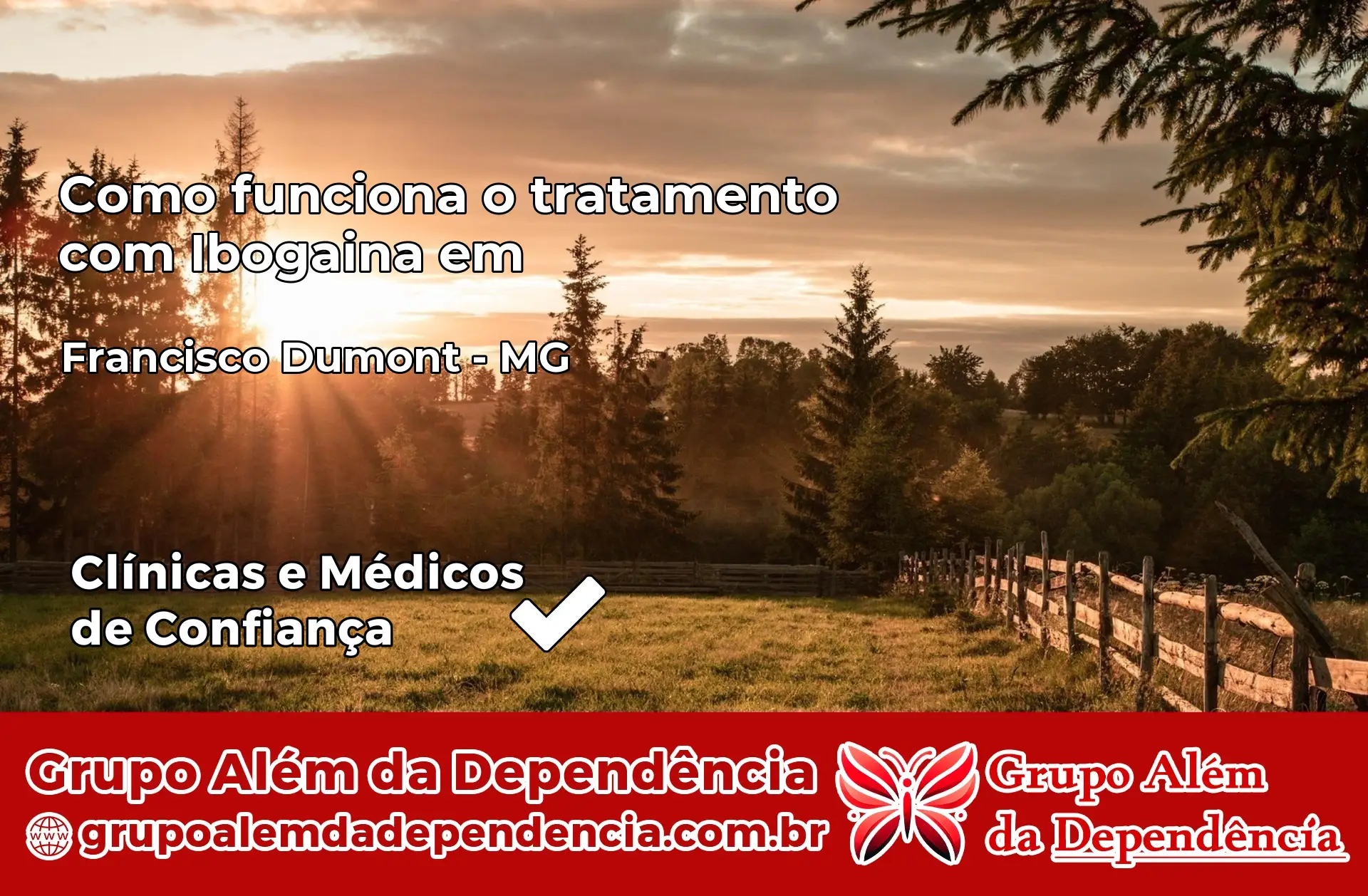 Como Funciona Ibogaína em Francisco Dumont – MG