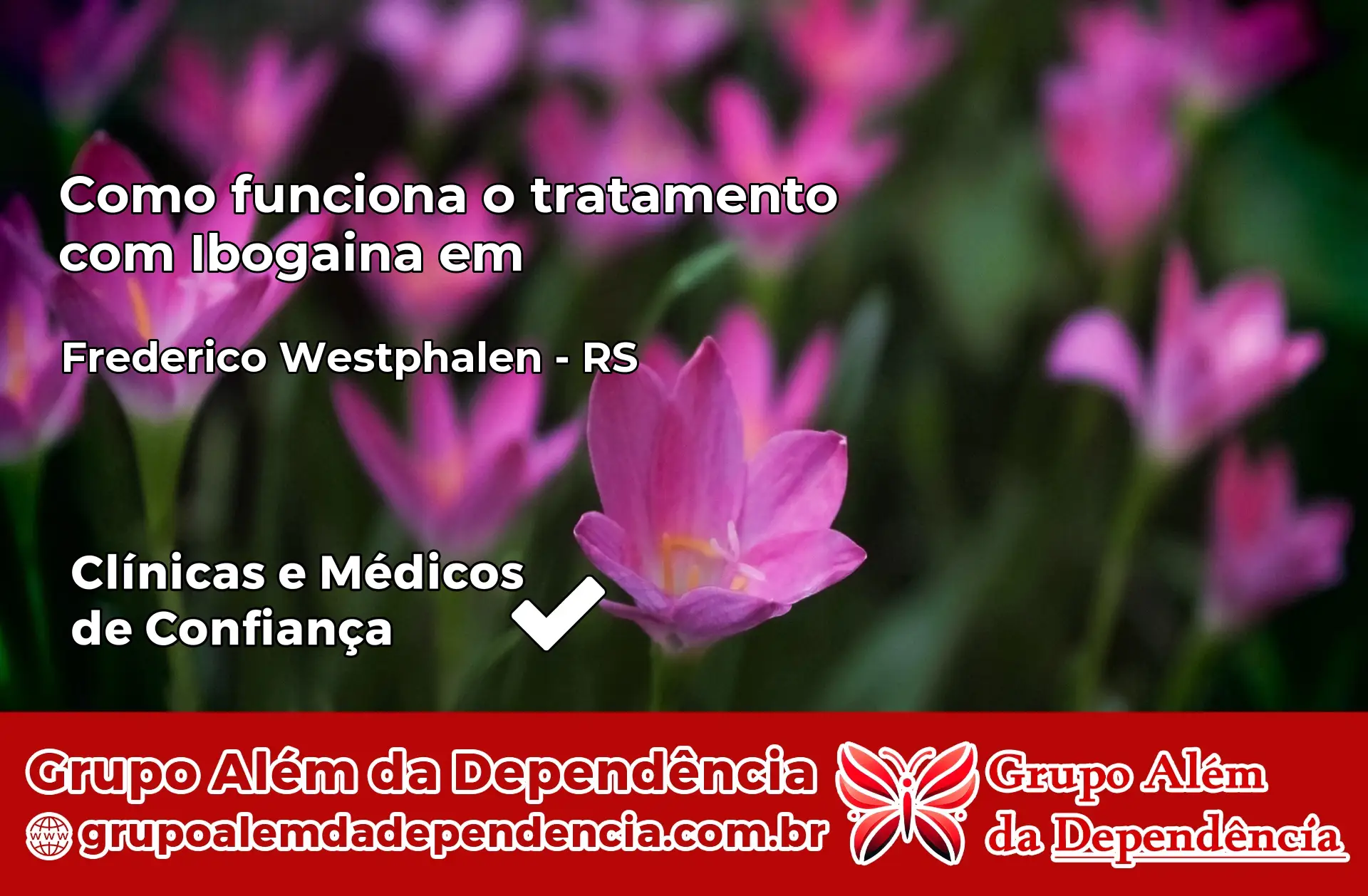 Como Funciona Ibogaína em Frederico Westphalen – RS