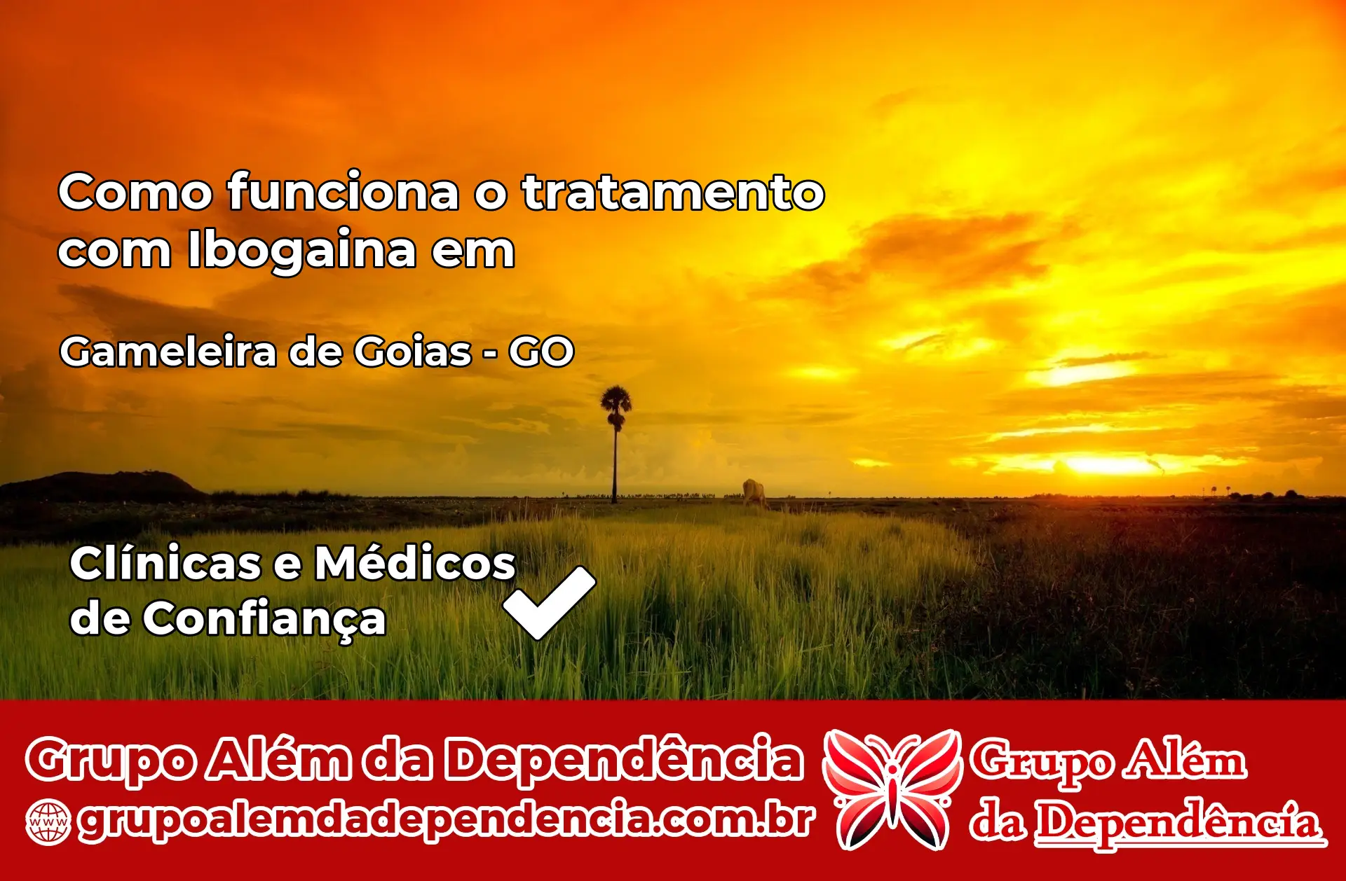 Como Funciona Ibogaína em Gameleira de Goiás – GO