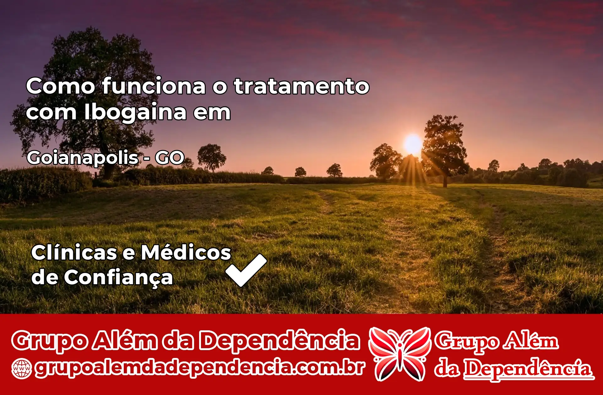 Como Funciona Ibogaína em Goianápolis – GO
