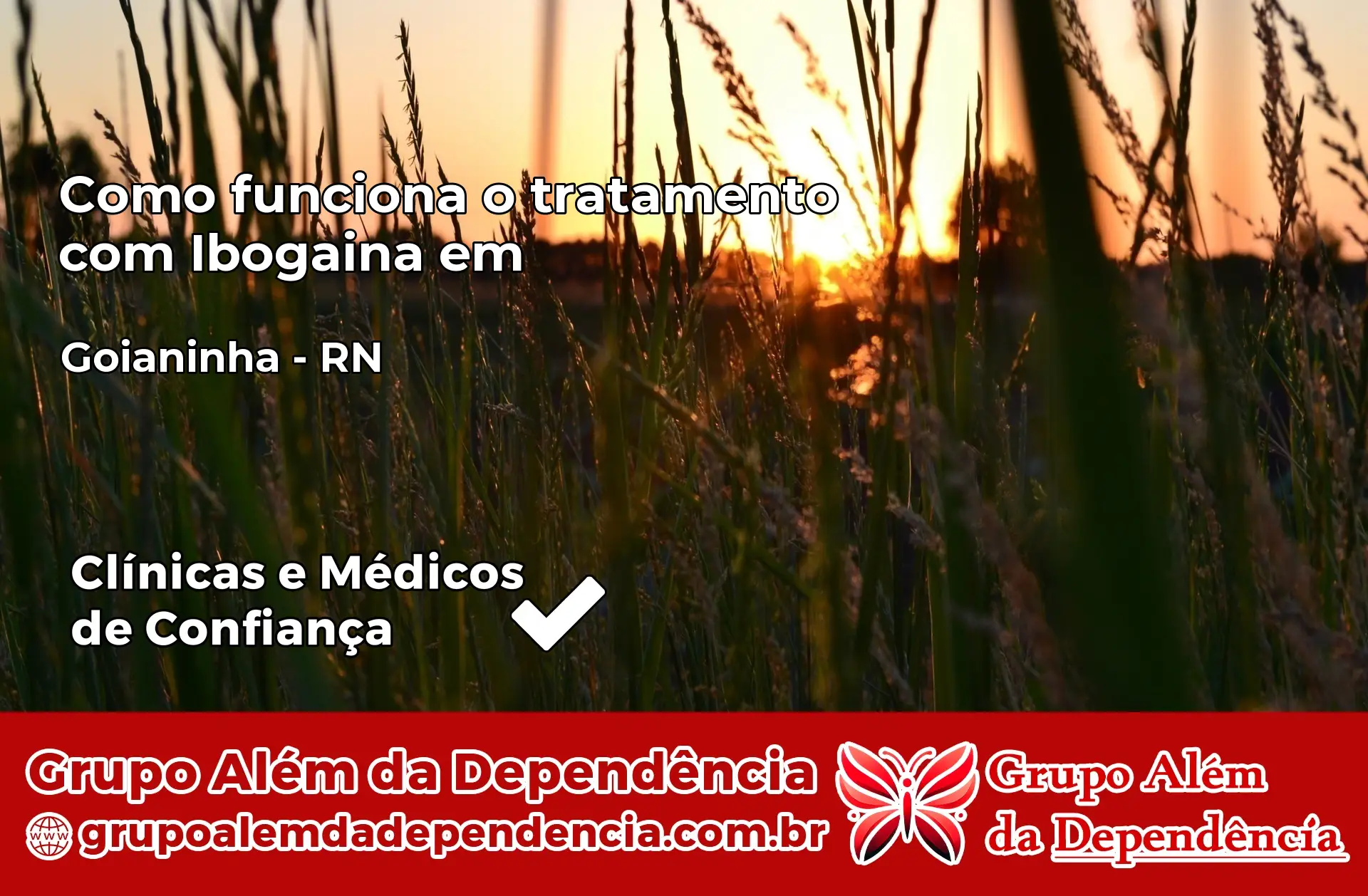 Como Funciona Ibogaína em Goianinha – RN