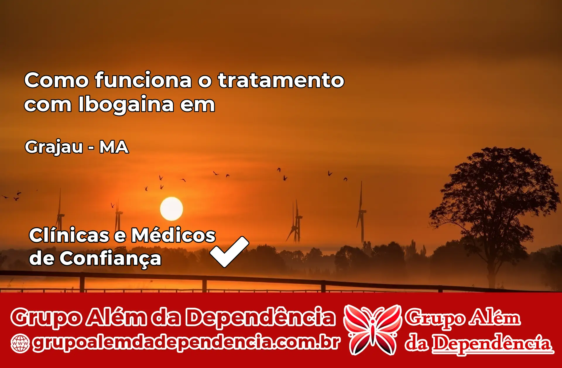 Como Funciona Ibogaína em Grajaú – MA