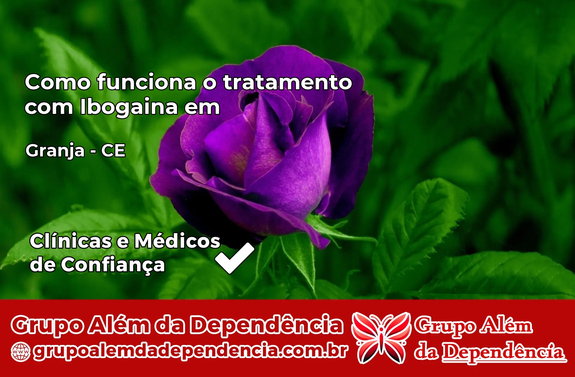 Como Funciona Ibogaína em Granja – CE