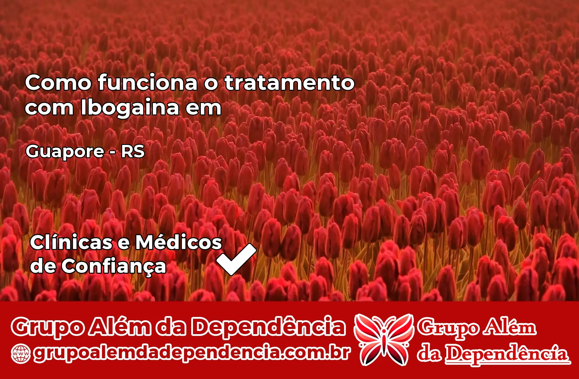 Como Funciona Ibogaína em Guaporé – RS
