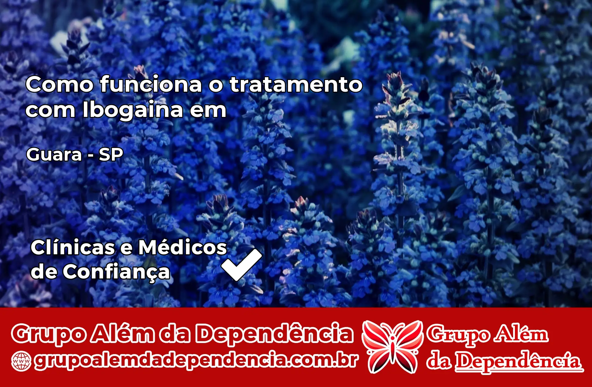 Como Funciona Ibogaína em Guará – SP