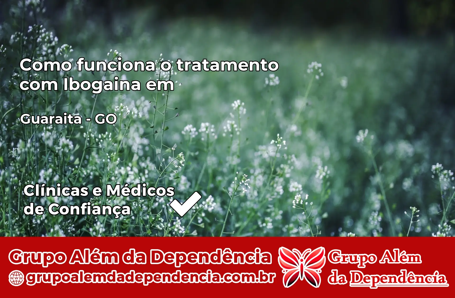 Como Funciona Ibogaína em Guaraíta – GO