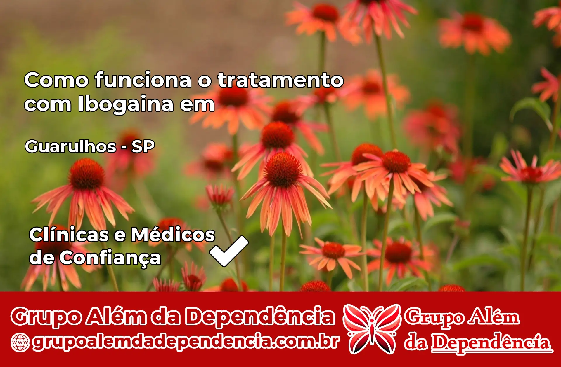 Como Funciona Ibogaína em Guarulhos – SP
