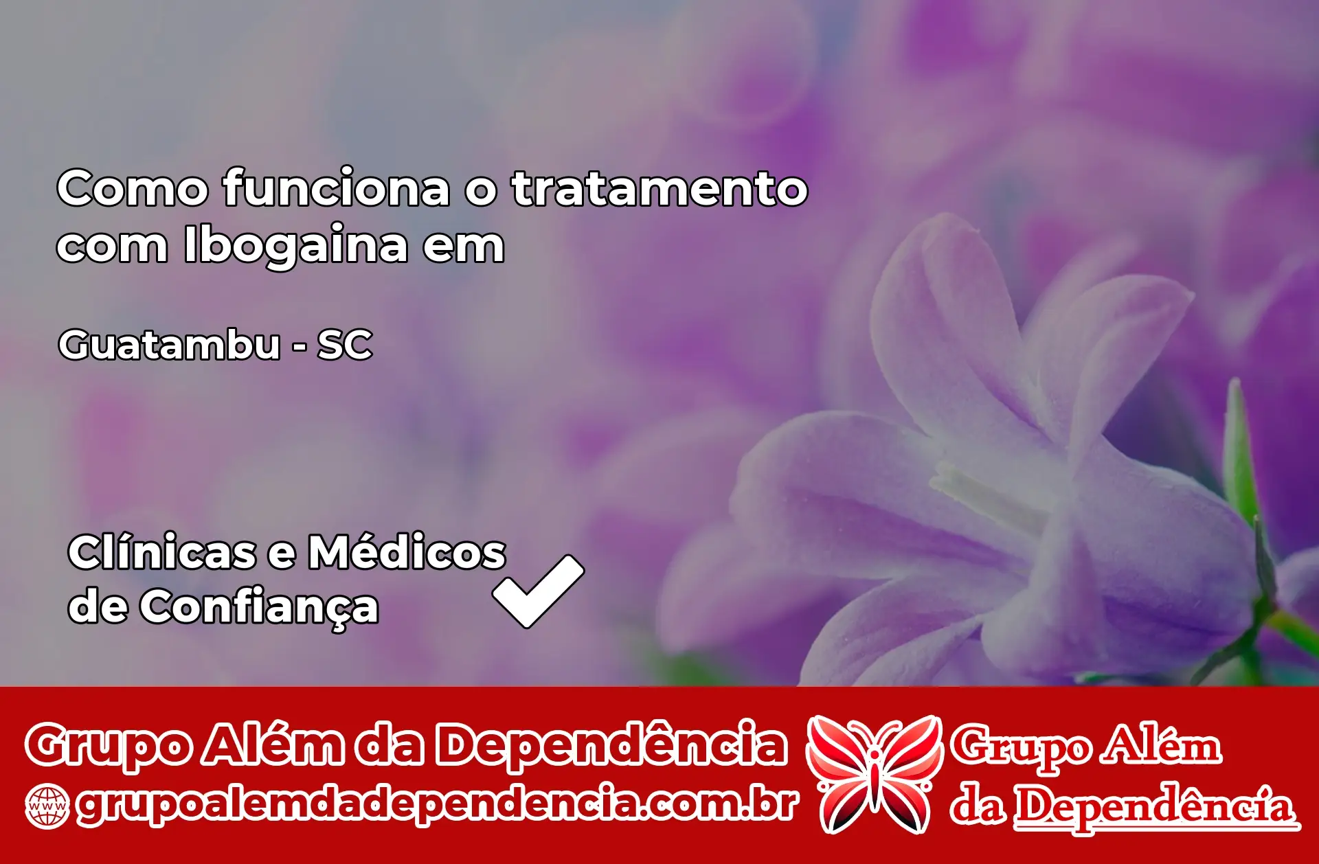 Como Funciona Ibogaína em Guatambú – SC