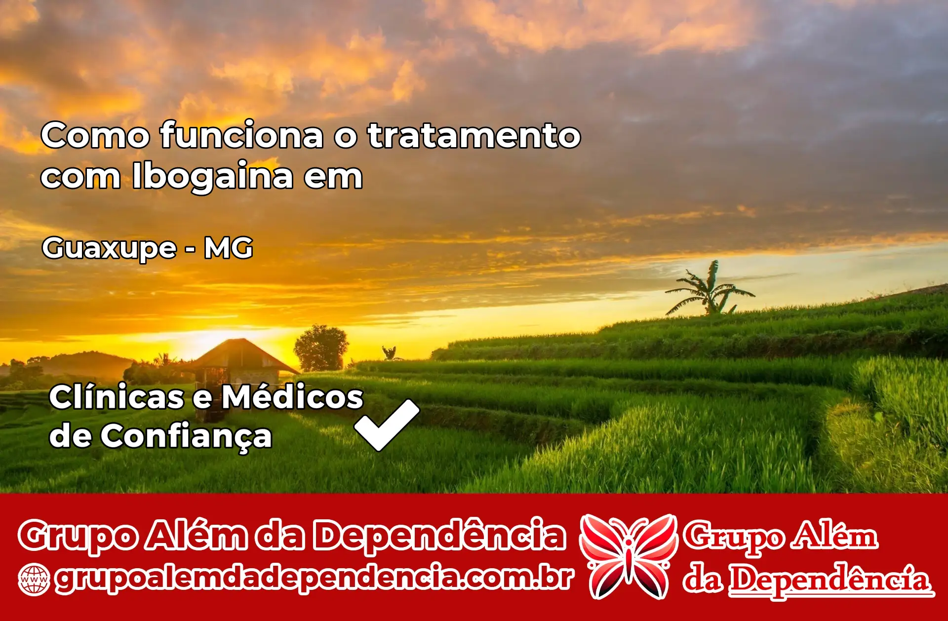 Como Funciona Ibogaína em Guaxupé – MG