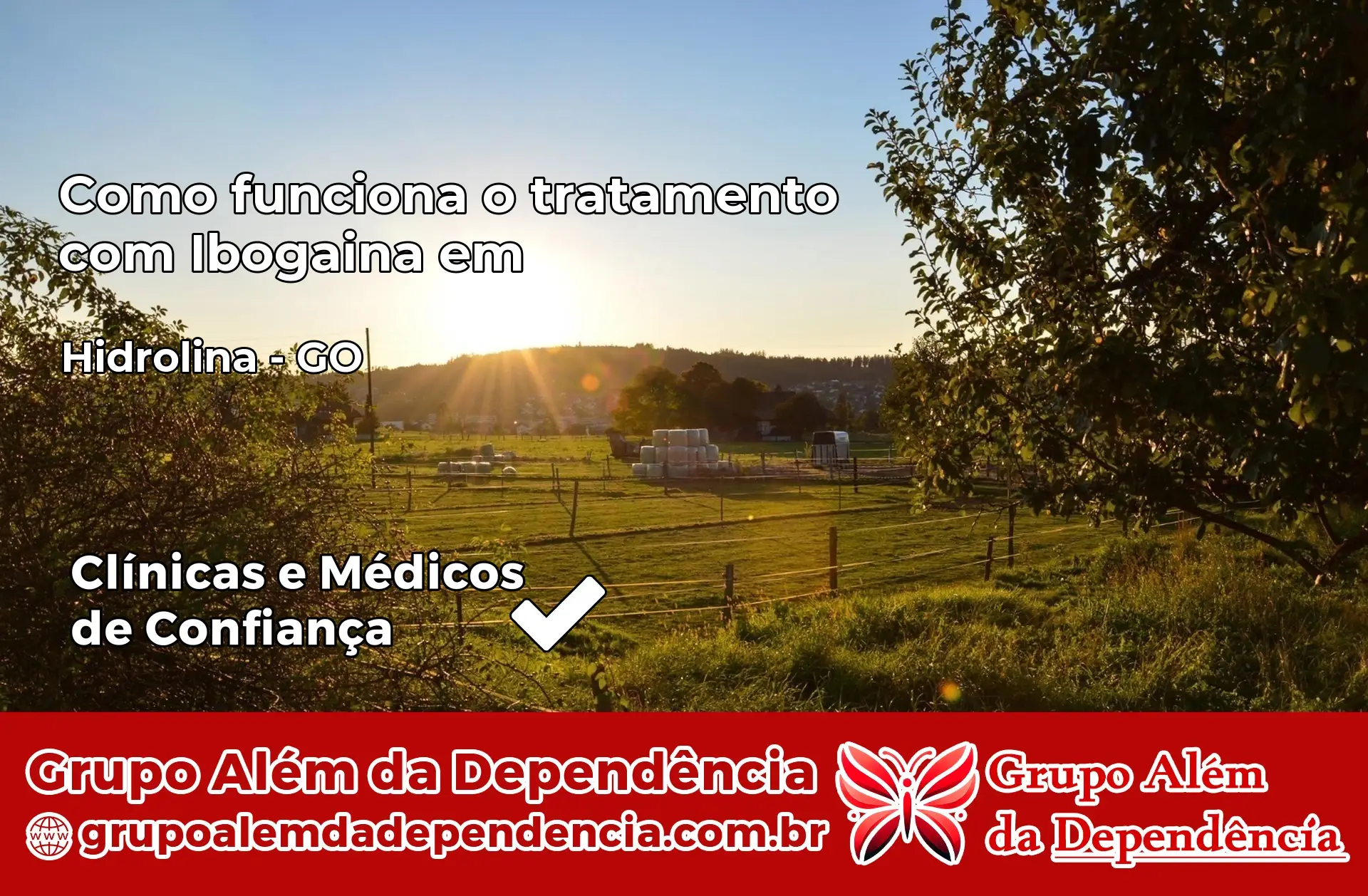 Como Funciona Ibogaína em Hidrolina – GO