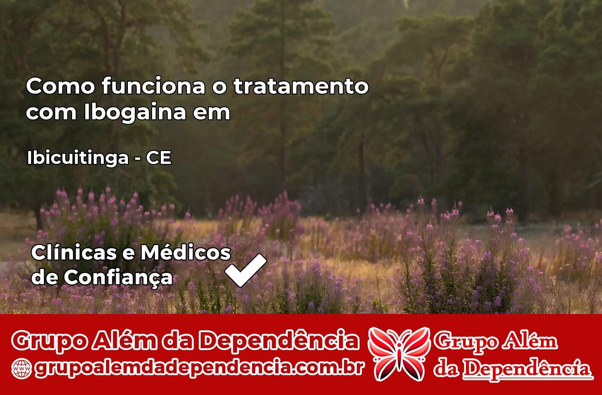 Como Funciona Ibogaína em Ibicuitinga – CE