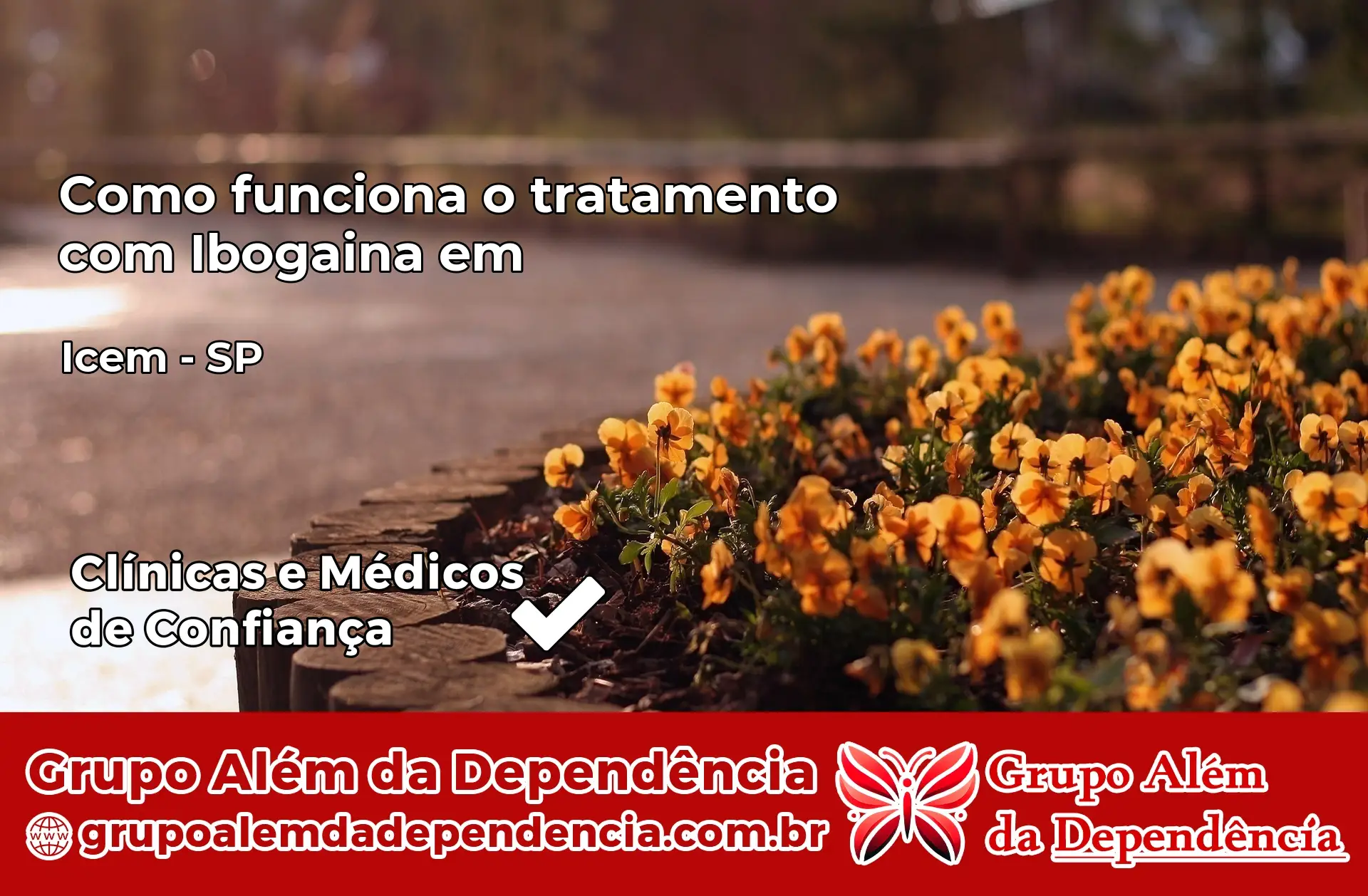 Como Funciona Ibogaína em Icém – SP