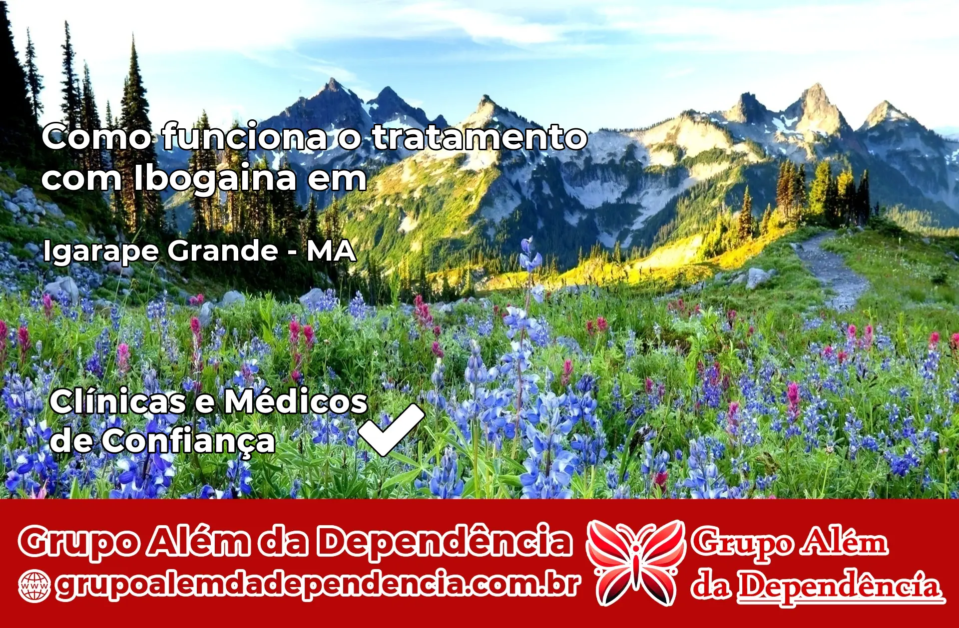 Como Funciona Ibogaína em Igarapé Grande – MA