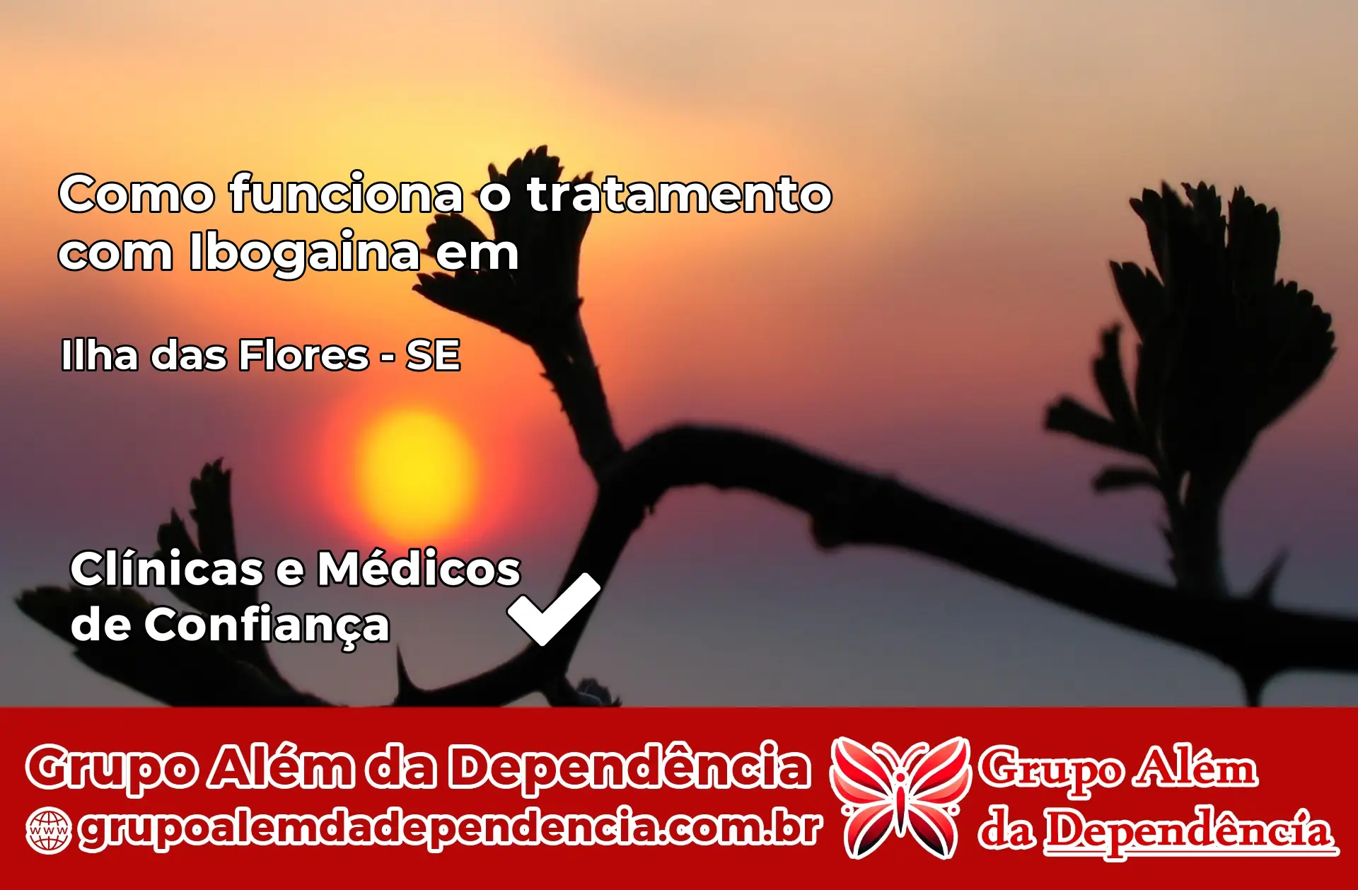 Como Funciona Ibogaína em Ilha das Flores – SE