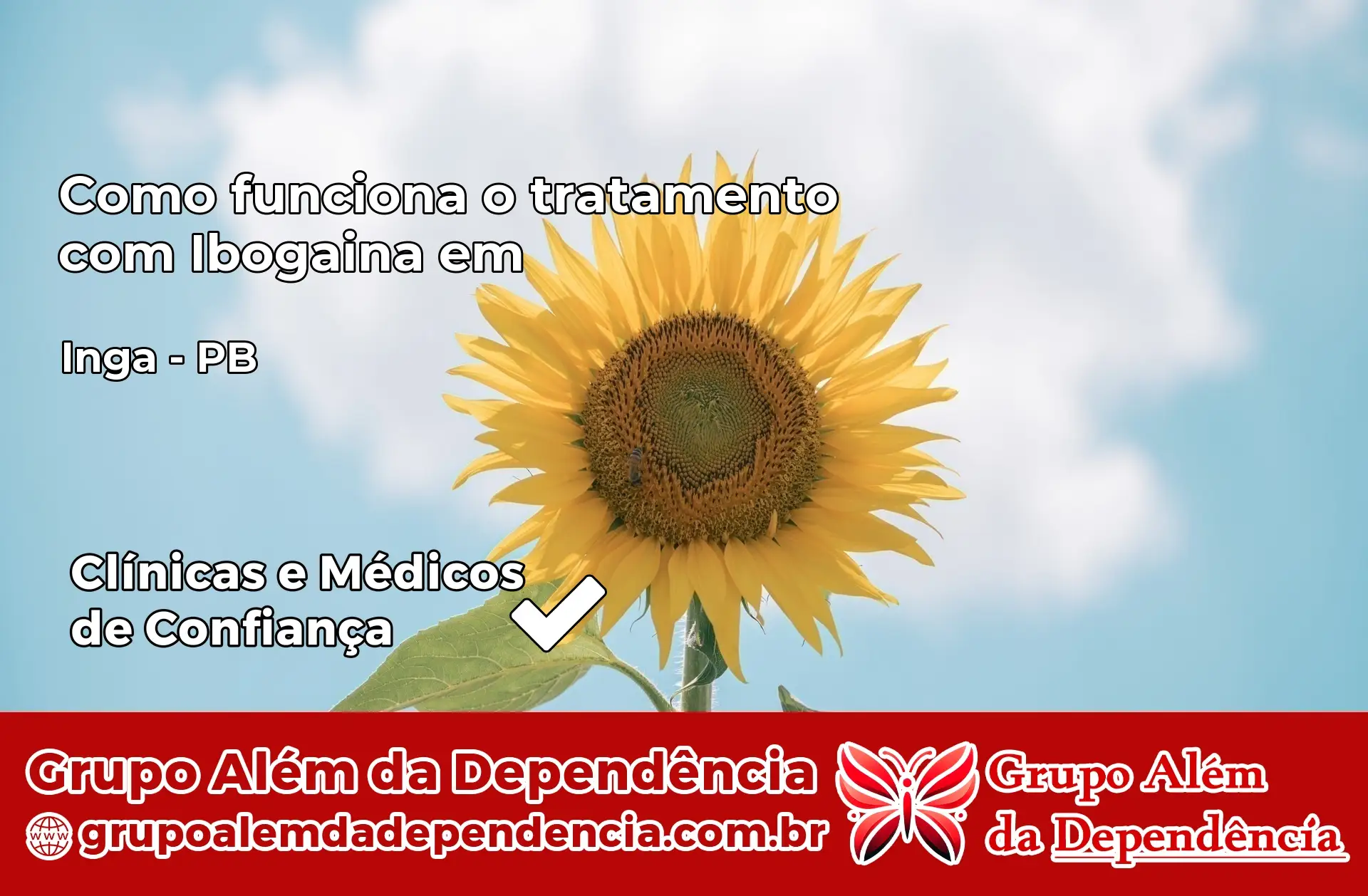 Como Funciona Ibogaína em Ingá – PB