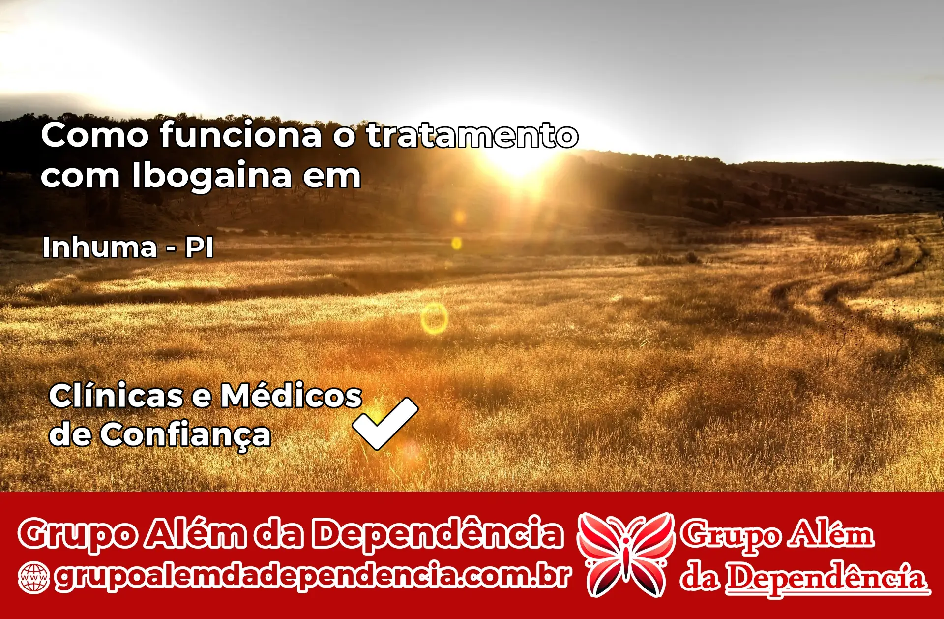 Como Funciona Ibogaína em Inhuma – PI
