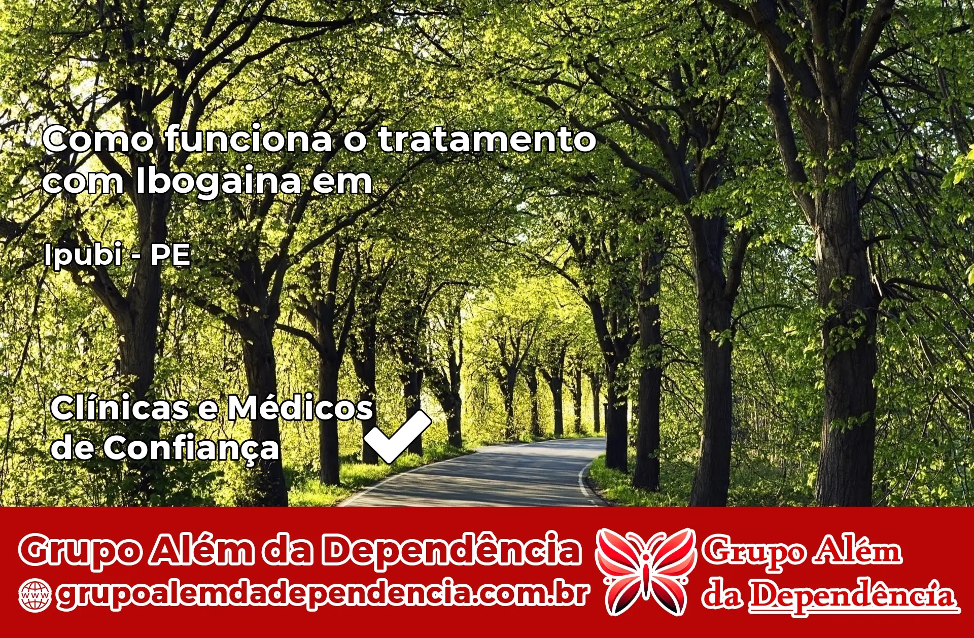 Como Funciona Ibogaína em Ipubi – PE