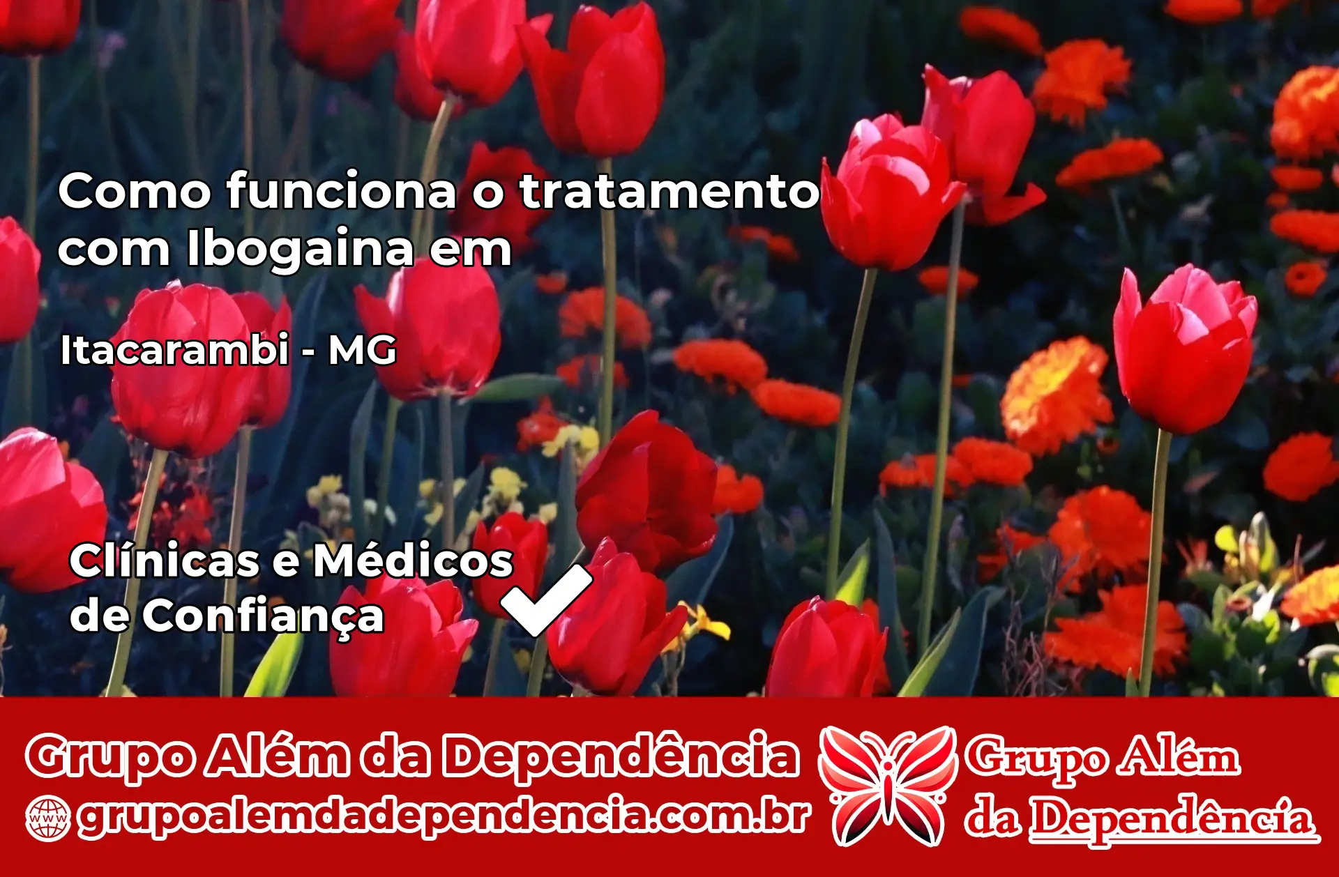 Como Funciona Ibogaína em Itacarambi – MG