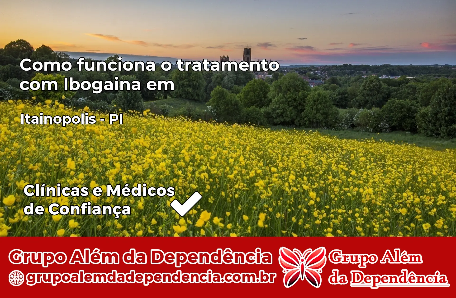 Como Funciona Ibogaína em Itainópolis – PI