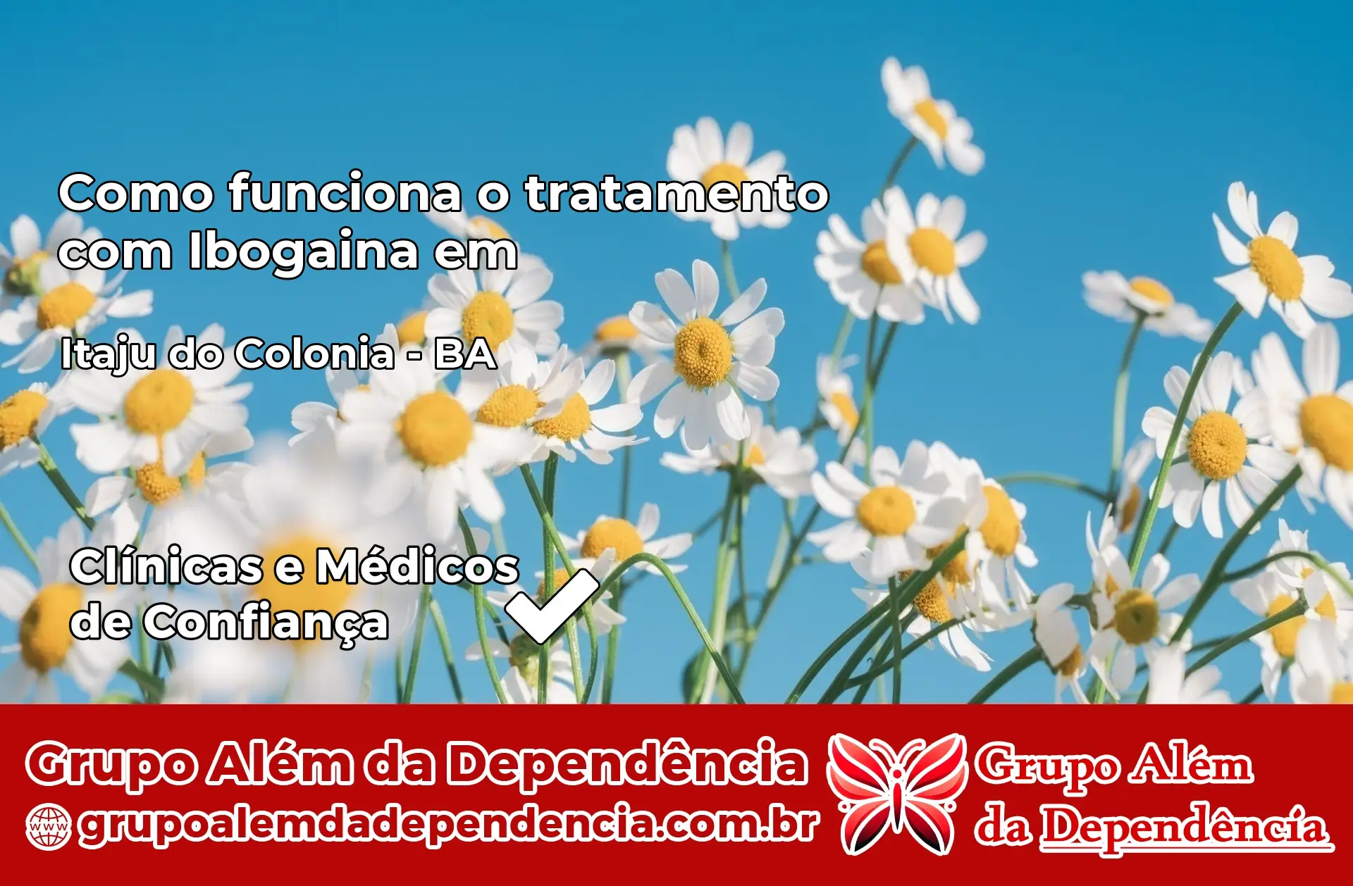 Como Funciona Ibogaína em Itaju do Colônia – BA