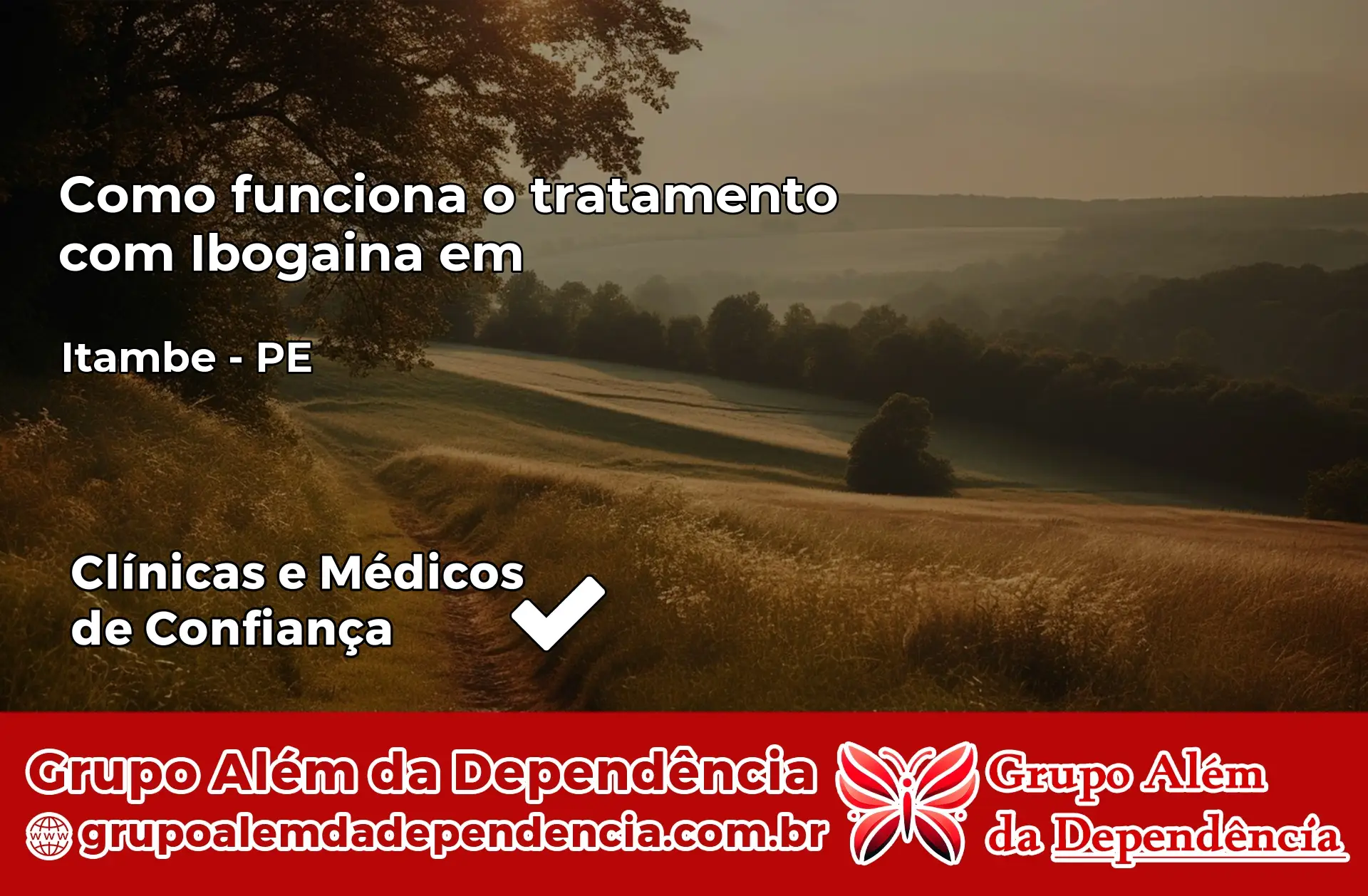Como Funciona Ibogaína em Itambé – PE