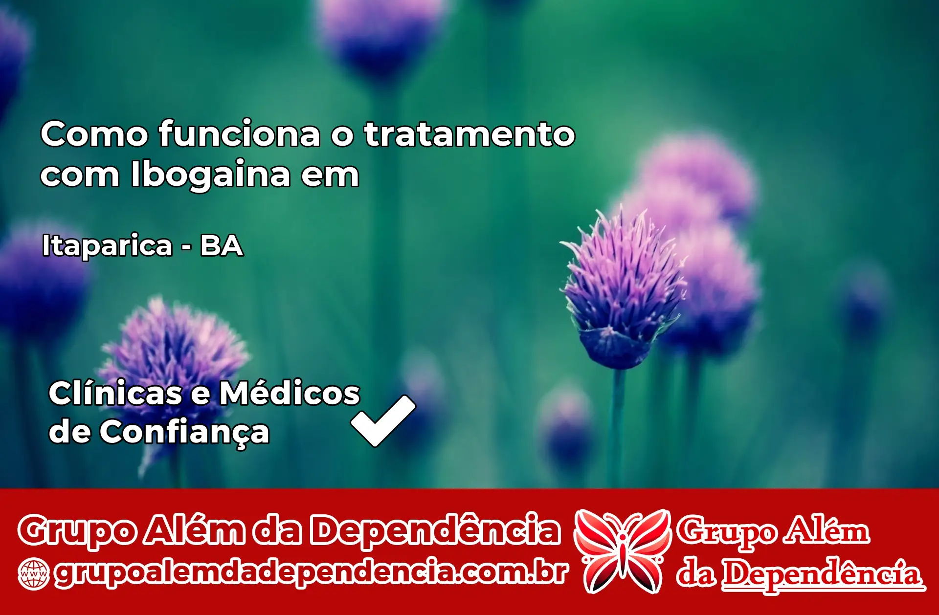 Como Funciona Ibogaína em Itaparica – BA