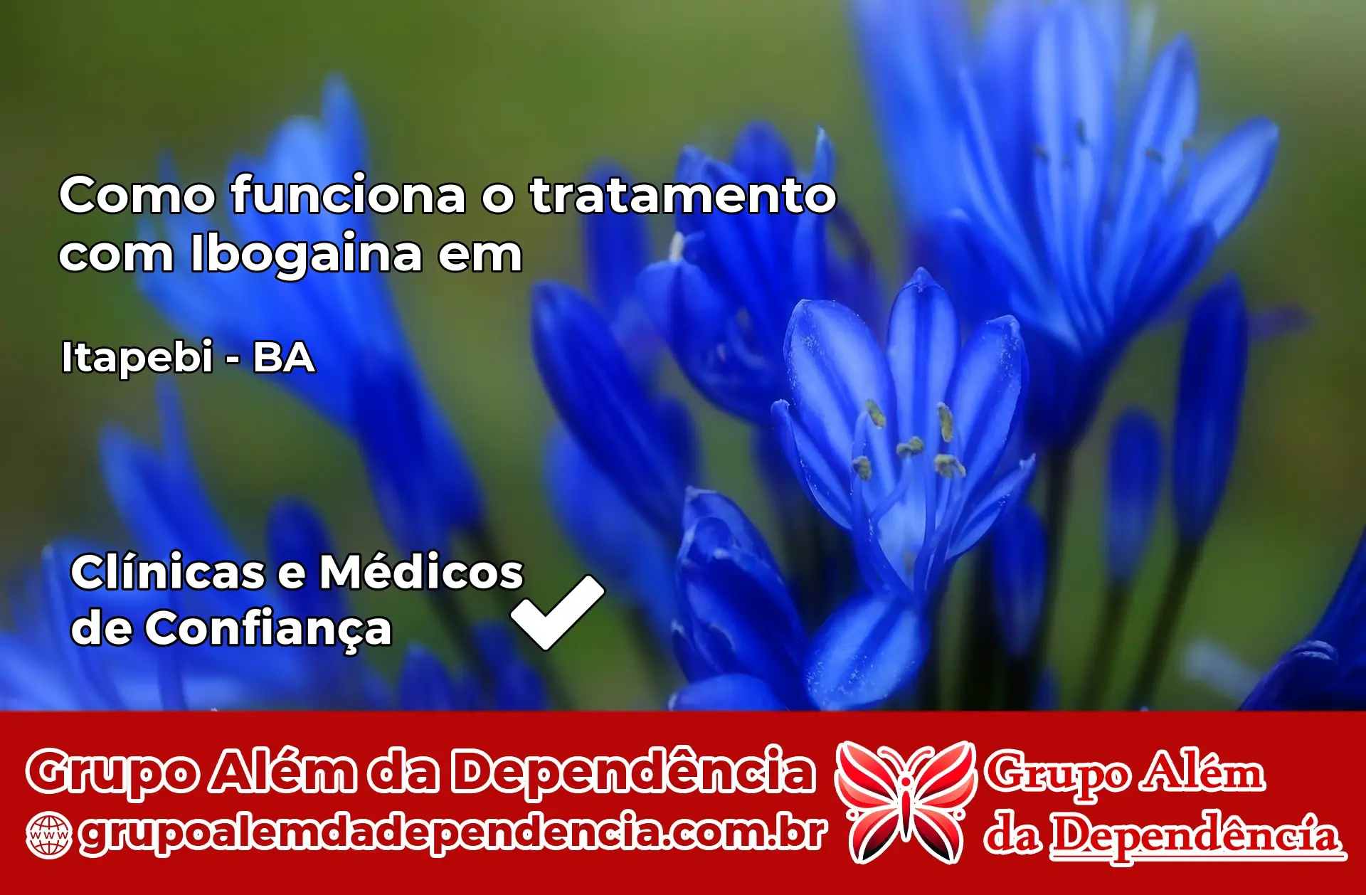 Como Funciona Ibogaína em Itapebi – BA