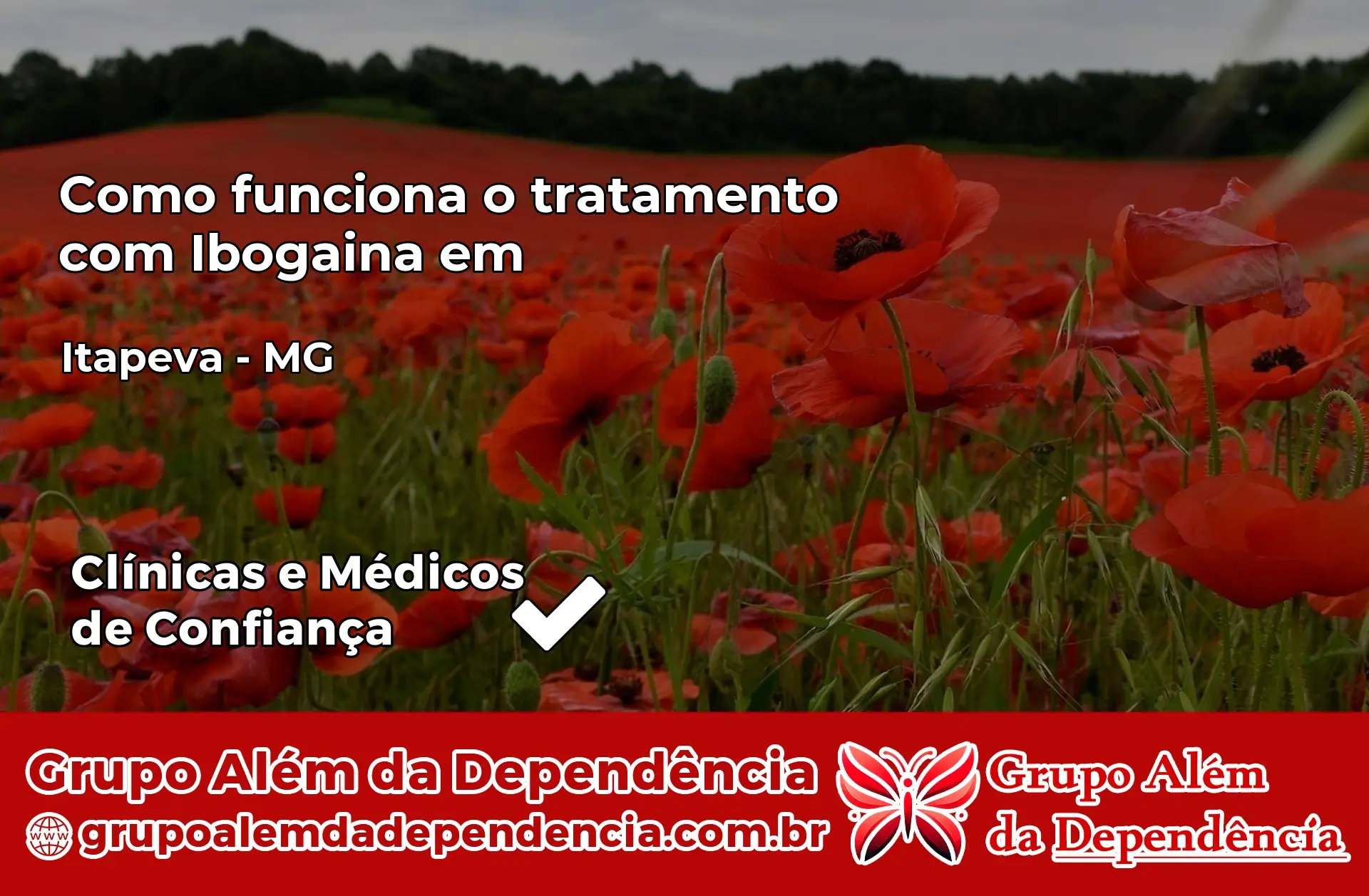 Como Funciona Ibogaína em Itapeva – MG