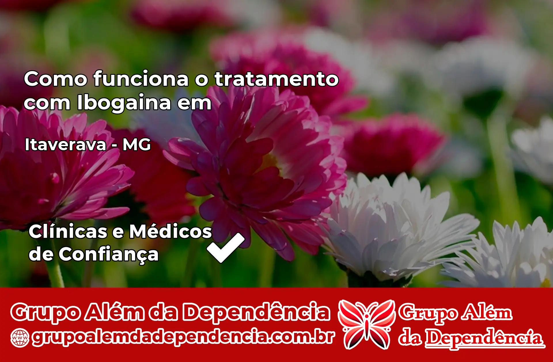 Como Funciona Ibogaína em Itaverava – MG