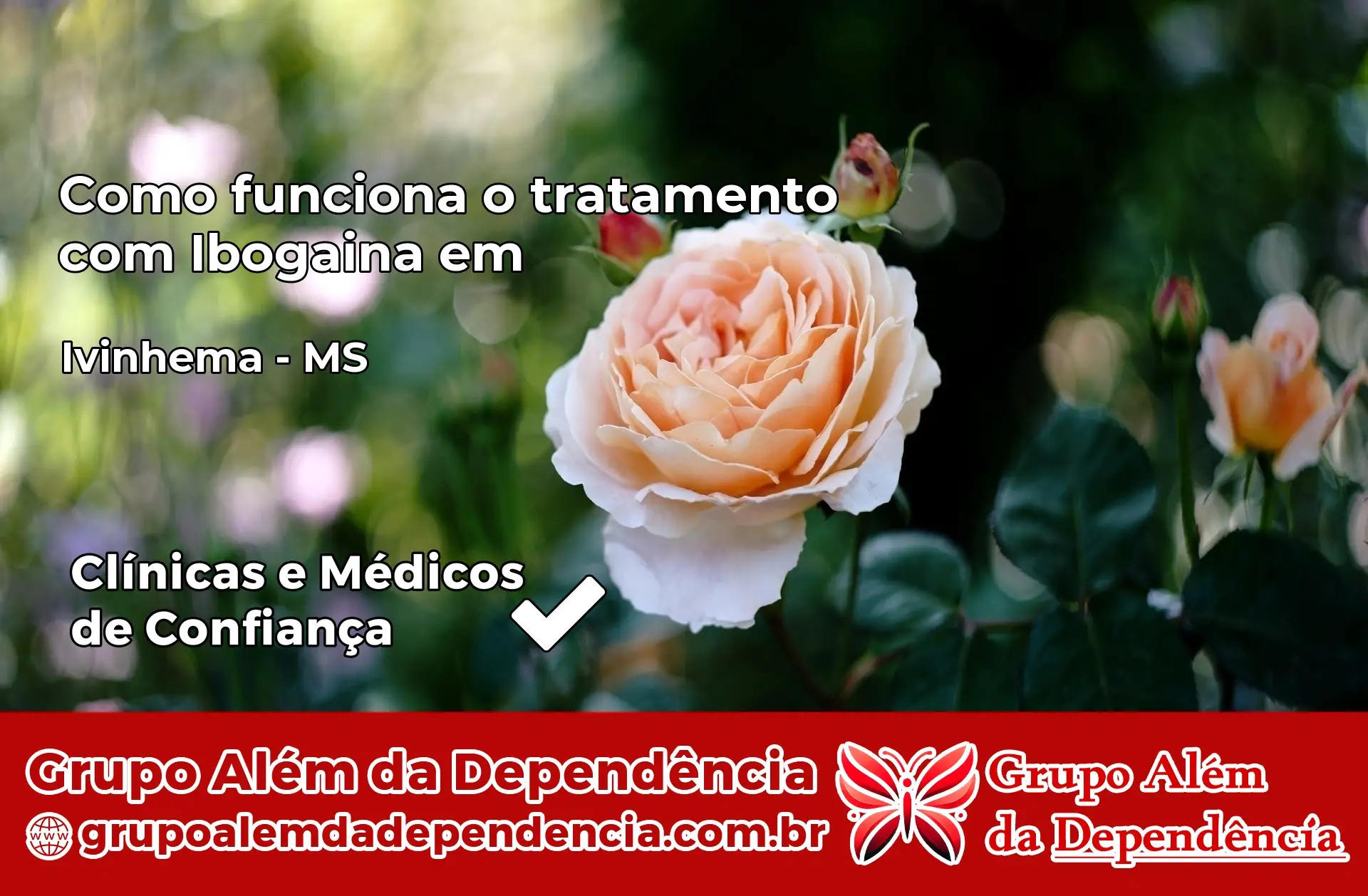 Como Funciona Ibogaína em Ivinhema – MS