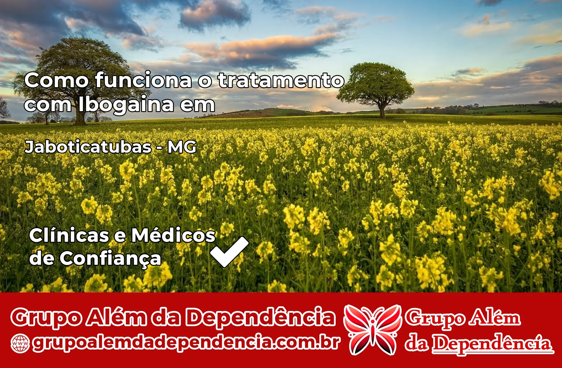 Como Funciona Ibogaína em Jaboticatubas – MG