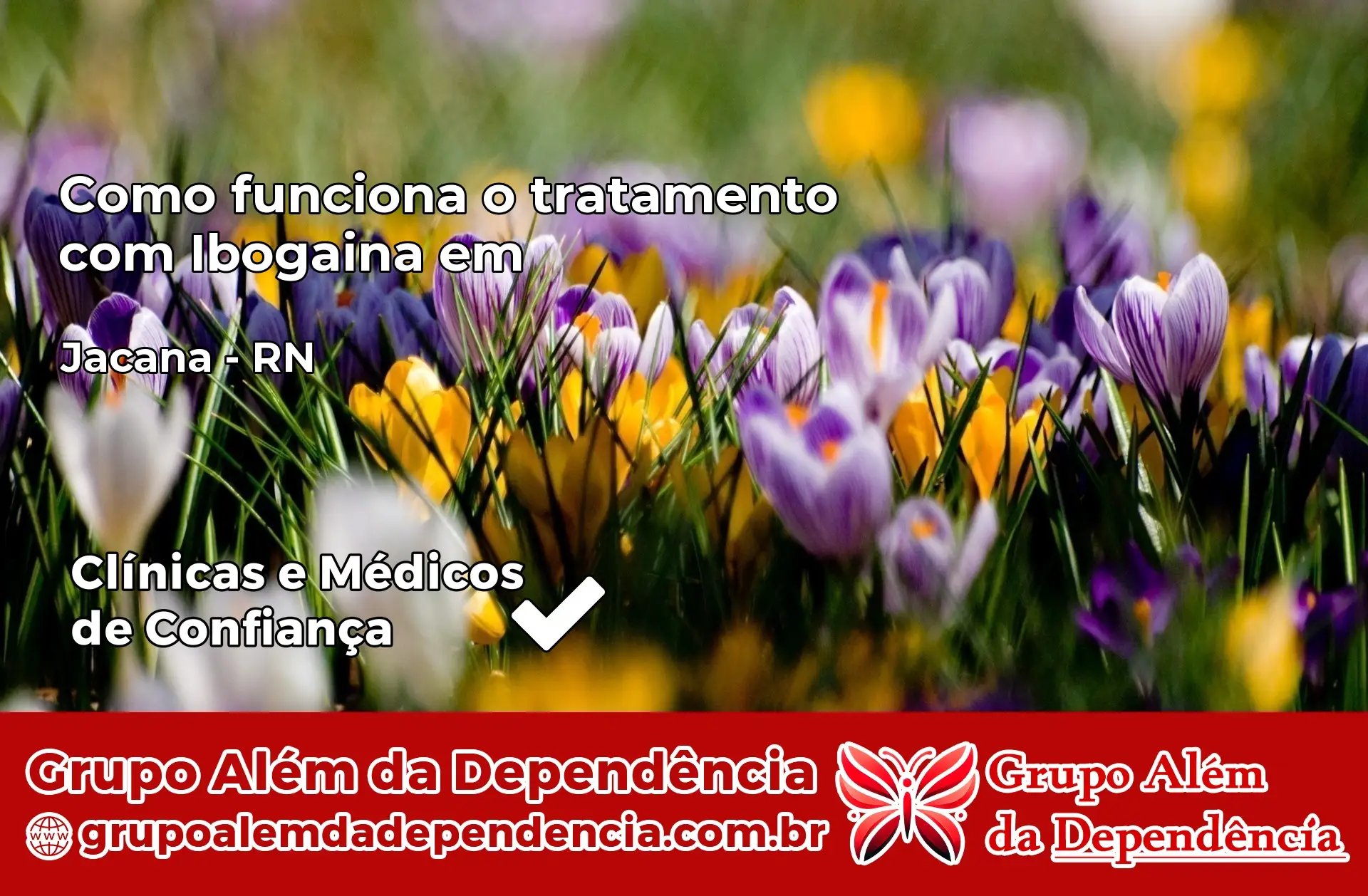 Como Funciona Ibogaína em Jaçanã – RN