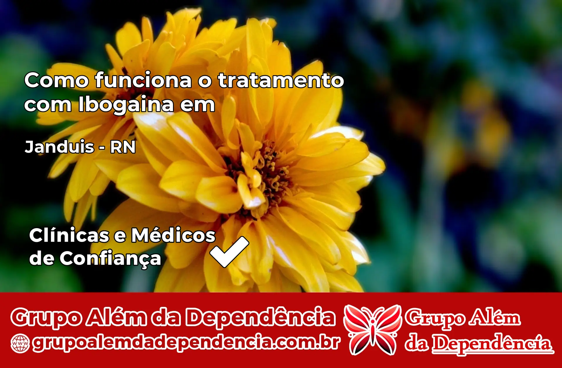 Como Funciona Ibogaína em Janduís – RN
