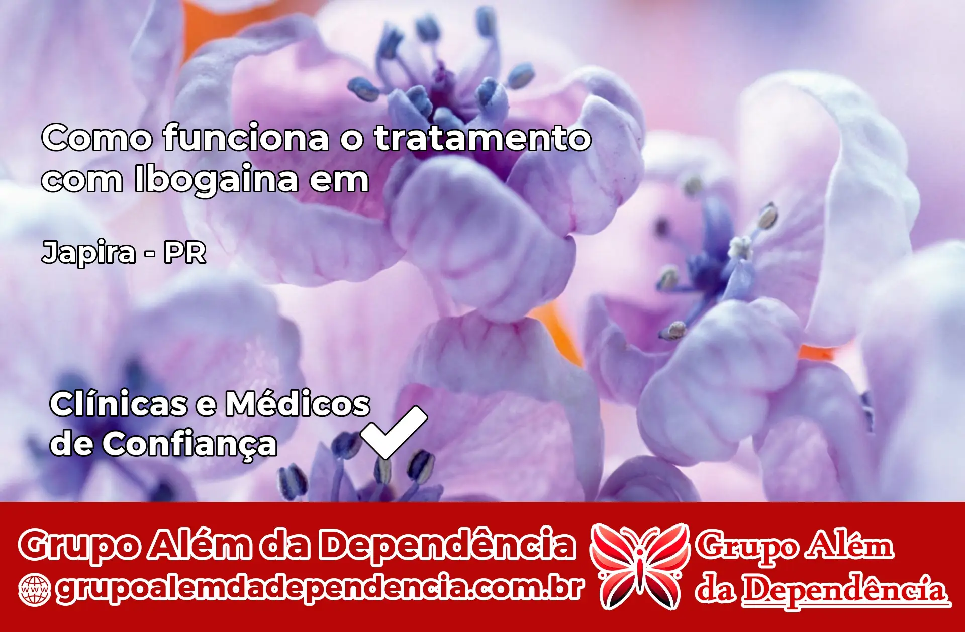 Como Funciona Ibogaína em Japira – PR