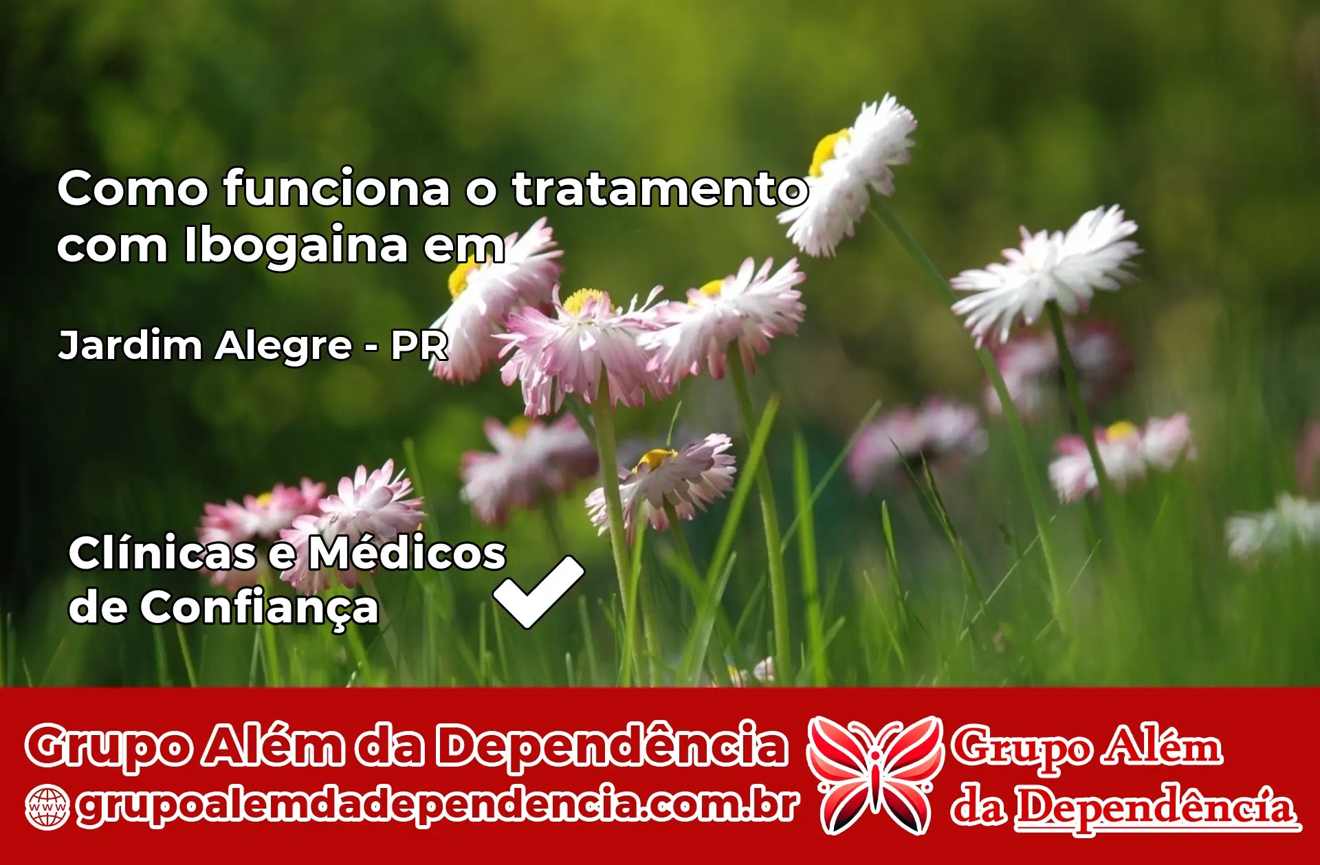 Como Funciona Ibogaína em Jardim Alegre – PR