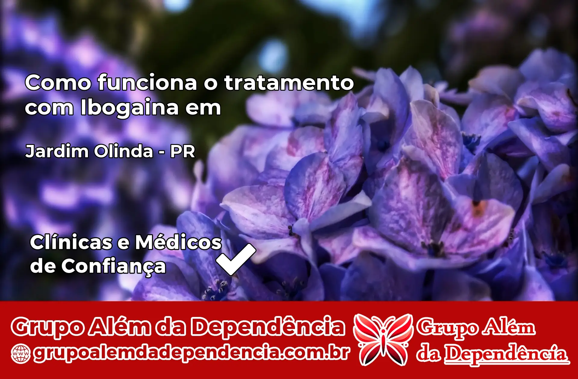 Como Funciona Ibogaína em Jardim Olinda – PR