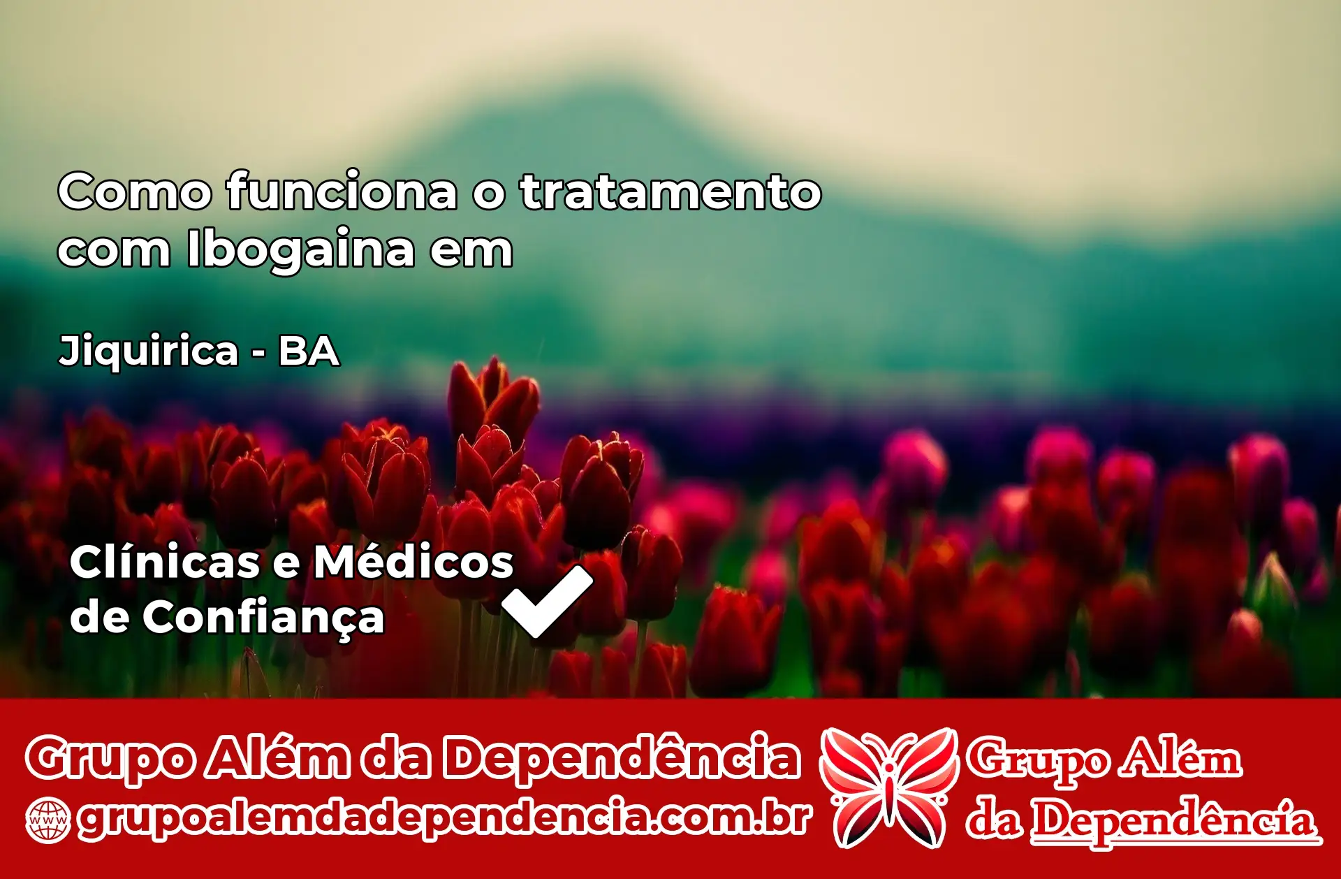 Como Funciona Ibogaína em Jiquiriçá – BA
