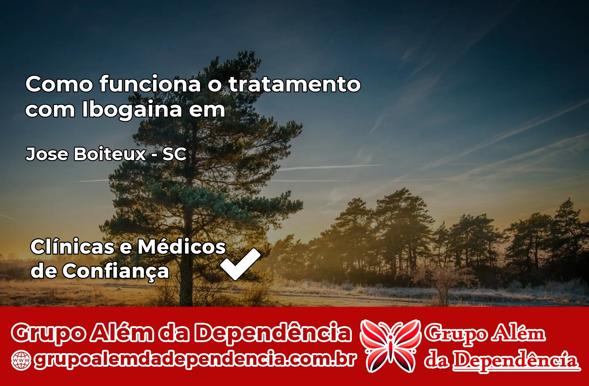 Como Funciona Ibogaína em José Boiteux – SC