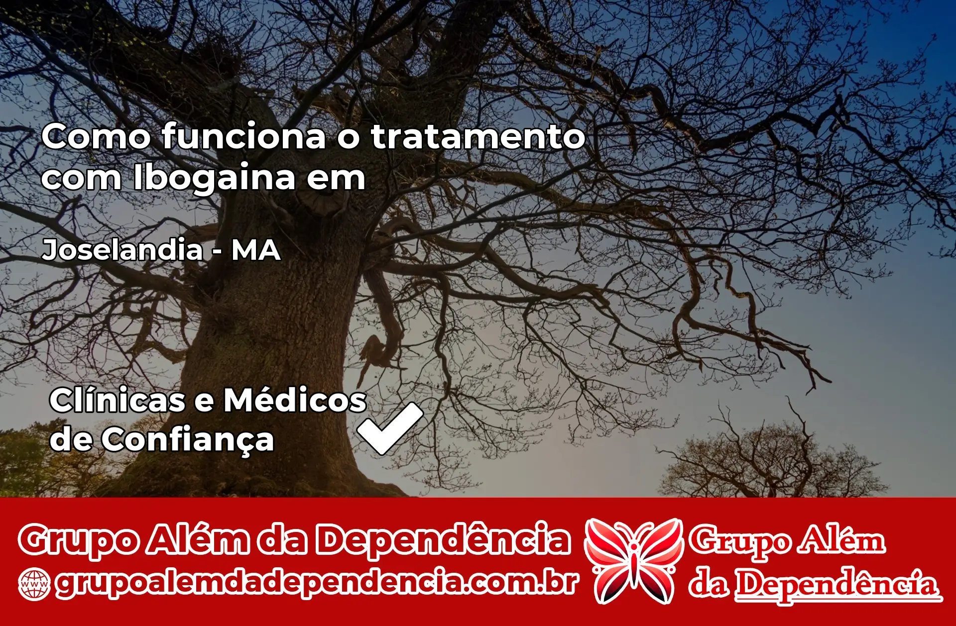 Como Funciona Ibogaína em Joselândia – MA