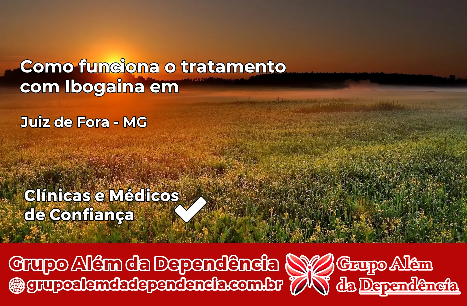 Como Funciona Ibogaína em Juiz de Fora – MG