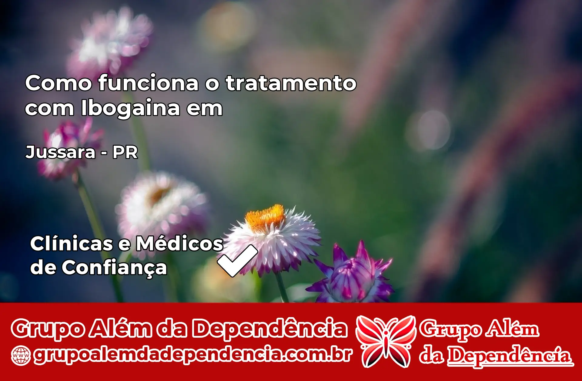 Como Funciona Ibogaína em Jussara – PR