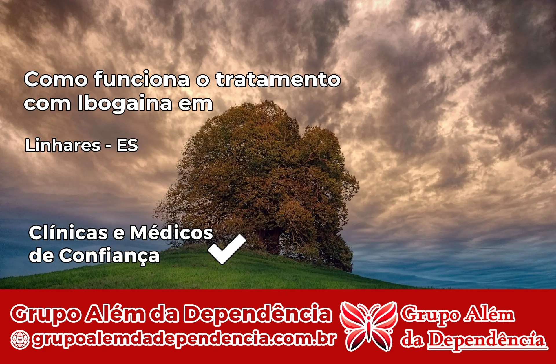 Como Funciona Ibogaína em Linhares – ES