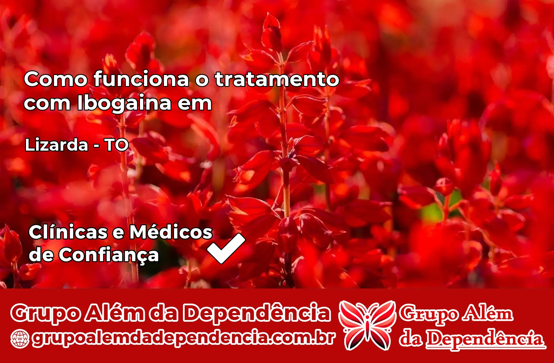 Como Funciona Ibogaína em Lizarda – TO