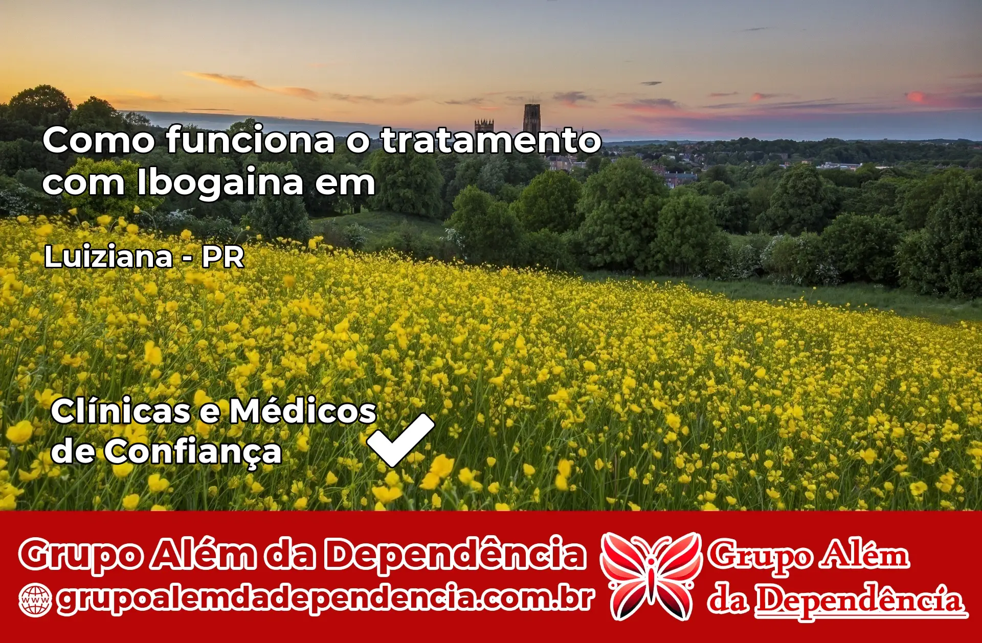 Como Funciona Ibogaína em Luiziana – PR